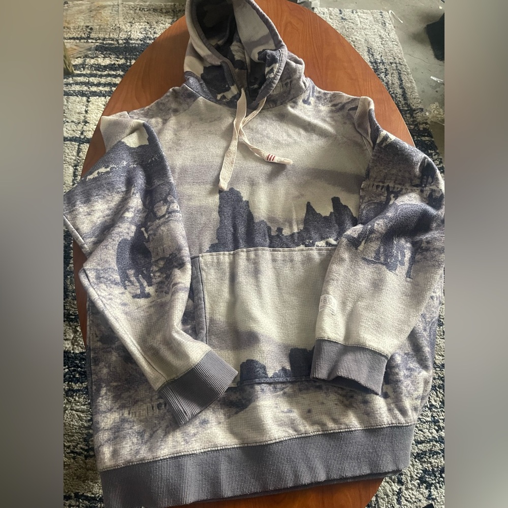 BDG Blue and Gray Scenic Hoodie Sweater